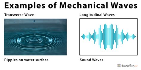 Mechanical Waves: Definition, Types, and Examples