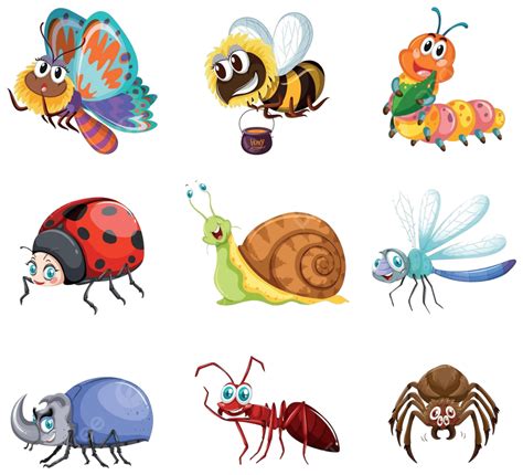 Different Types Of Insects Ant Bug Object Vector, Ant, Bug, Object PNG and Vector with ...