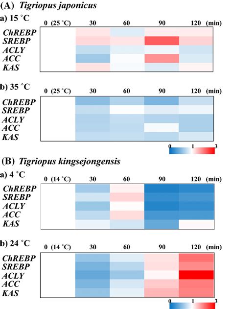 Expression patterns of de novo lipogenesis pathway genes in response to ...