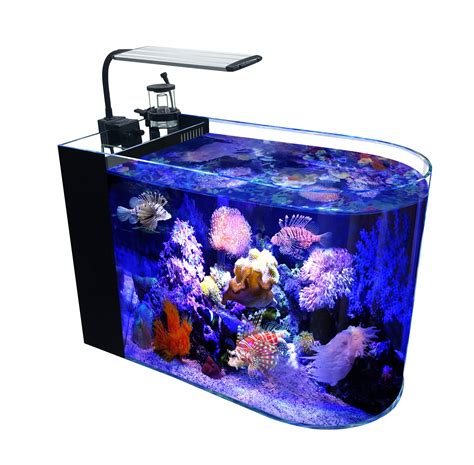 GankPike 12 Gallon Saltwater Aquarium Full Bullnose Shape Low Iron ...