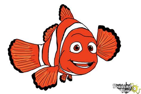 Marlin Finding Nemo Cartoon