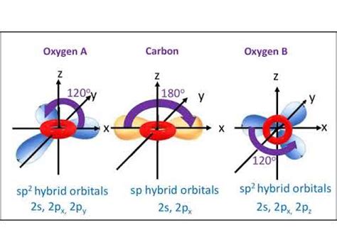 Hybridization Of Co2