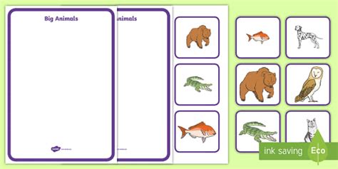 Big and Small Sorting Activity | Animals | Early Years