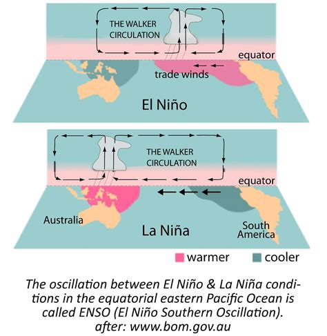 Insights and Reflections: EL NIÑO and LA NIÑA Phenomena