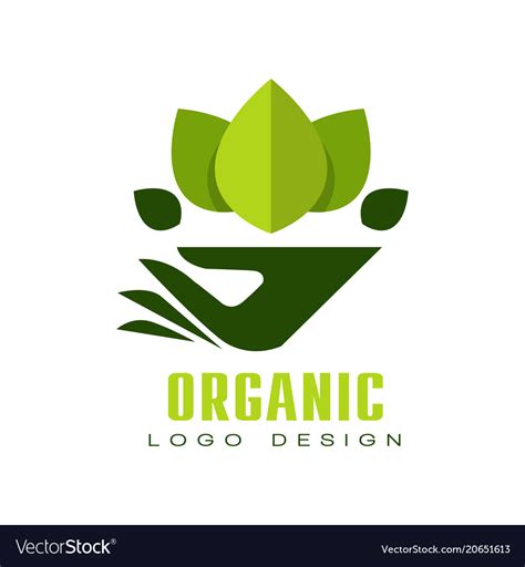 Organic logo design healthy premium quality food Vector Image