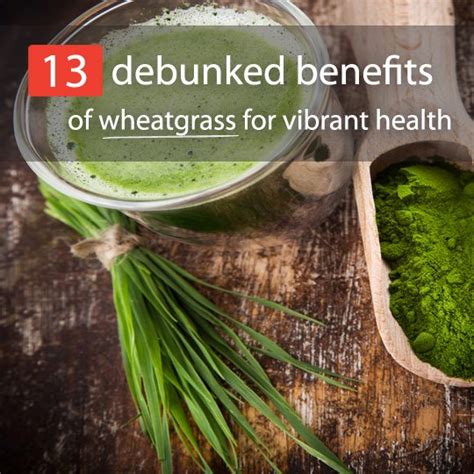 13 Debunked Benefits Of Wheatgrass For Vibrant Health - Healthwholeness