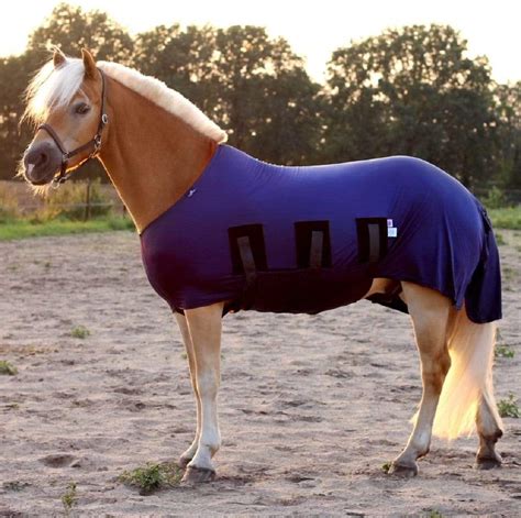 Horse Wear – Snuggy Hoods Ltd