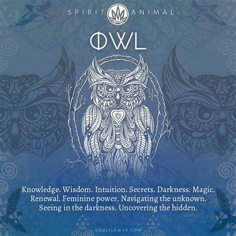 Owl Symbolism - Owl Spirit Animal - Soul Flower Blog