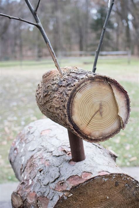 How to Build Rustic Deer Using Cut Logs | how-tos | DIY