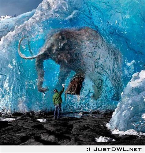 Mammoth found on Pinterest | Lion history, The creatures and Wooly mammoth clone