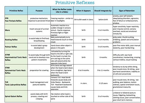 Sprocket Therapy Primitive Reflexes Page - Sprocket Therapy Solutions, LLC