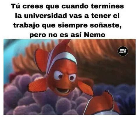 Nemo aprendiendo la realidad - Meme by BichoTRECE :) Memedroid