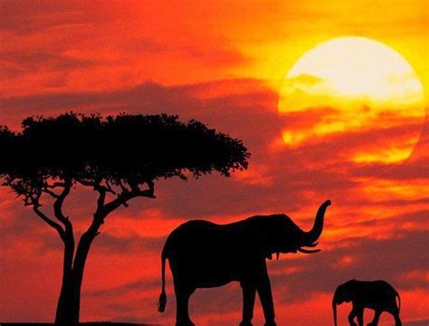 pretty | African sunset, Scenery, Kenya safari