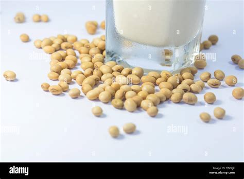 Soybean soybean milk Stock Photo - Alamy