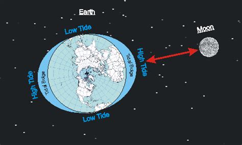 3.6 Phases of the Moon & Tides - Mrs. Foster's Fourth