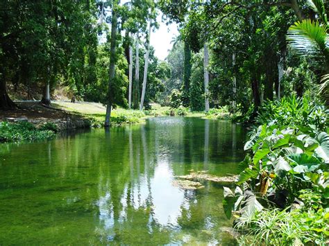 Edit free photo of River,idyll,landscape,tree,idyllic - needpix.com