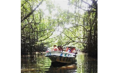 Bentota river safari in Sri Lanka | Cinnamon U