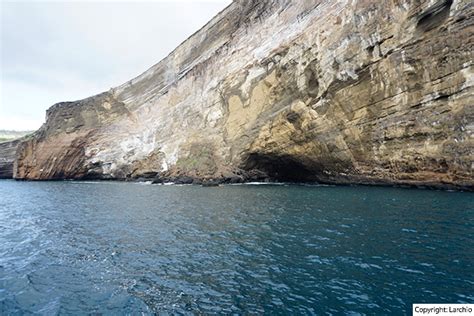 Cruises Around Galapagos Islands - GalapagosInformation.com Blog