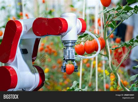 Harvesting Smart Image & Photo (Free Trial) | Bigstock