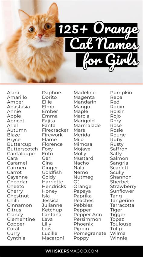 125+ Cute Orange Cat Names for Girl Cats - Whiskers Magoo