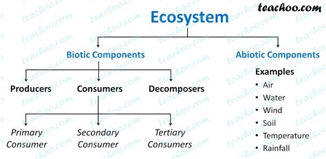 Components Of Iot Ecosystem Chart