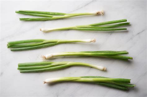 Scallions vs. Chives vs. Green Onions: What’s the Difference? - Fueled With Food