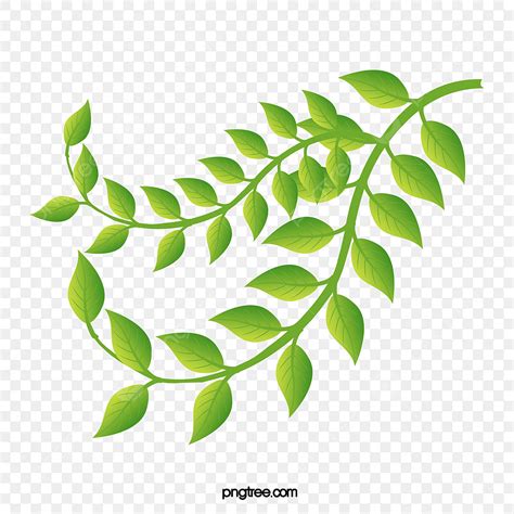 Fresh Greens Clipart Transparent PNG Hd, Fashion Fresh Green Leaves Vector, Leaf Material ...