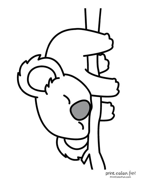 Free Printable Koala Coloring Pages