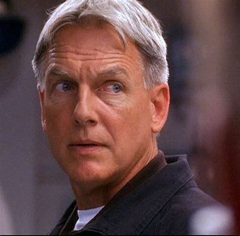 Pin by Marilyn Cash on Harmon in 2022 | Leroy jethro gibbs, Mark harmon, Gibbs ncis