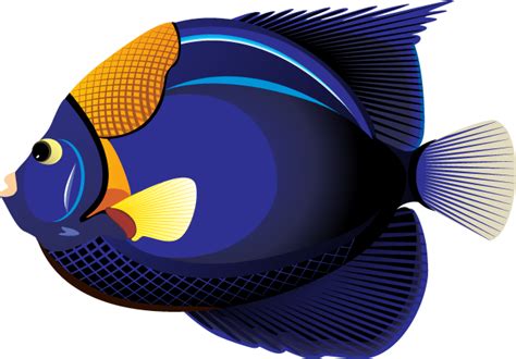 Tropical Fish Clip Art - ClipArt Best