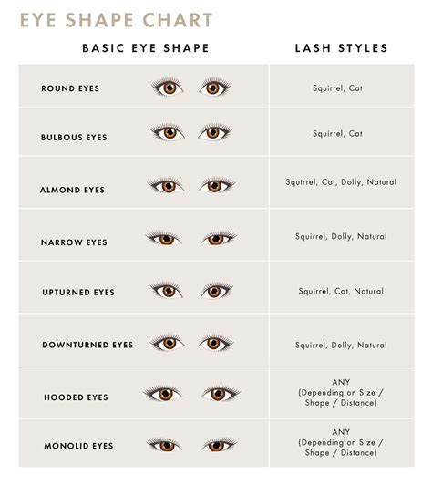 Eye Types Chart