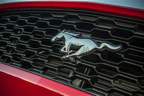 10 Car Logos with Horse, Did You Know?