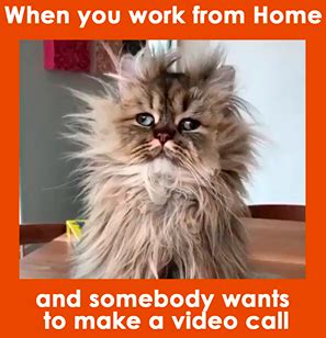 30+ Work From Home Memes: Funny Work Memes to Make You Laugh | Chanty