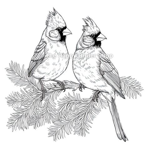 Christmas Cardinal Coloring Pages