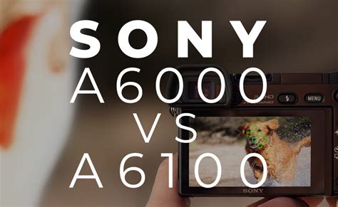 Sony A6000 Vs A6100 - BuyDig.com Blog