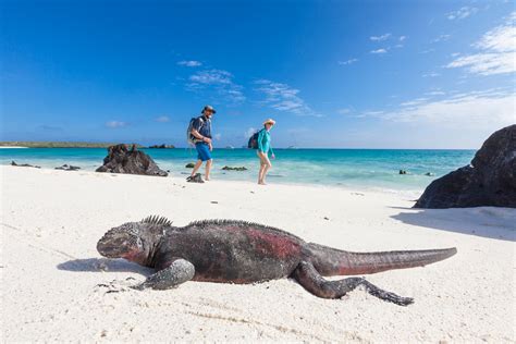 Enchanted Galapagos Islands - 2019 | Hugh Rose Photography