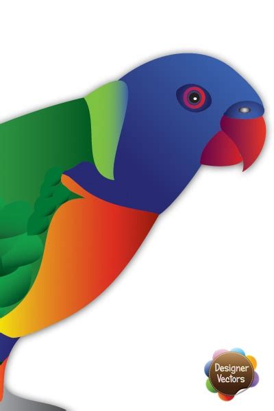 81 best images about Birds clip art on Pinterest | Love birds, Cartoon and Australian birds