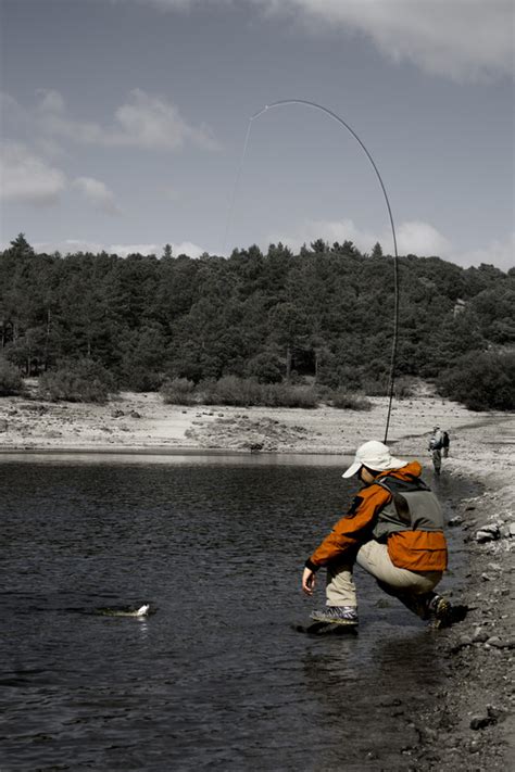 Best Fly Fishing Techniques