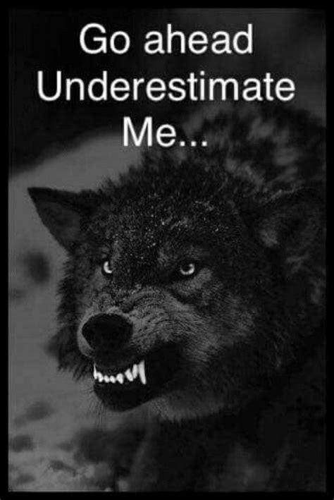 Alpha Wolf Quotes Wallpaper