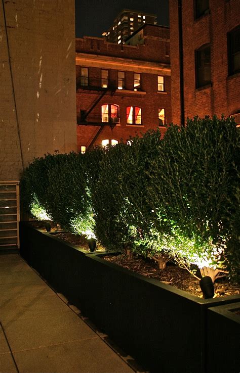 GreenZone Landscape Design: LED Lighting is Perfect for Small Urban Gardens