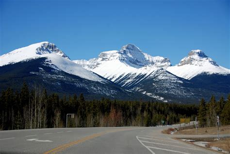 27 Survey Peak and Mount Erasmus From Saskatchewan River Crossing On Icefields Parkway