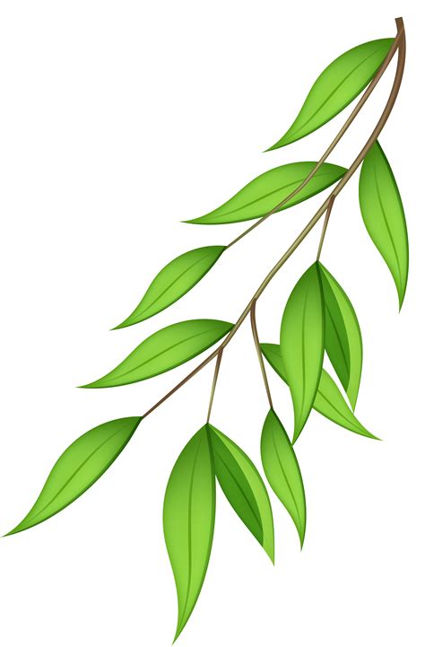 Aesthetic Transparent Background Green Leaves Png - WALLPAPER NEW UPDATE