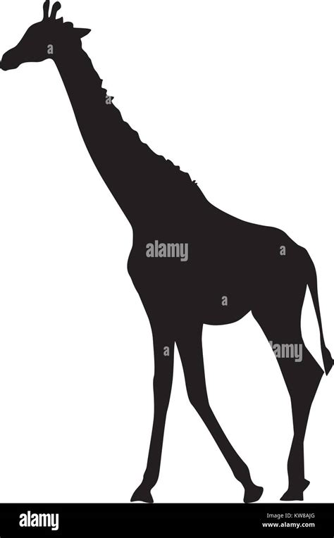 Giraffe silhouette, Vector illustration Stock Vector Image & Art - Alamy