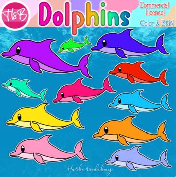 Dolphins| Sea Life | Animals | Clip Art | PNG by Harborsidebay | TPT