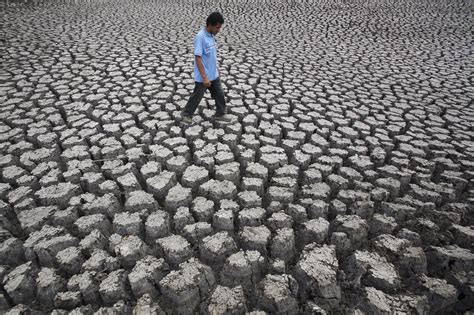 Severe El Niño Weather To ‘Double’ As Climate Change Continues To Warm Planet, Study Finds | IBTimes