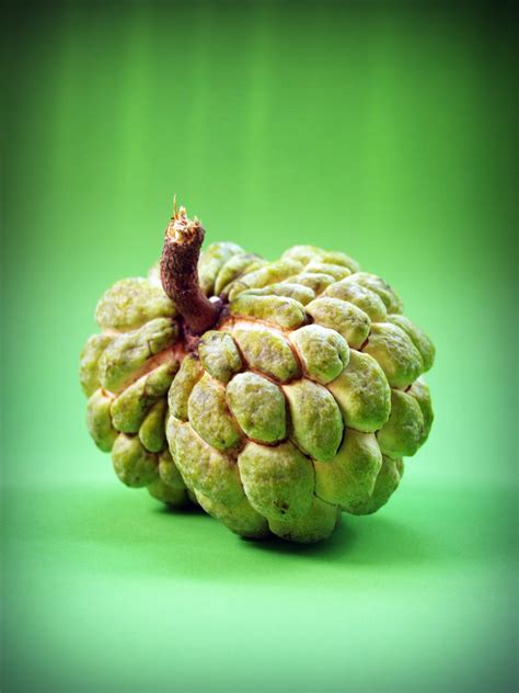 Free Images : tree, farm, fruit, round, flower, ripe, food, green, produce, vegetable, tropical ...