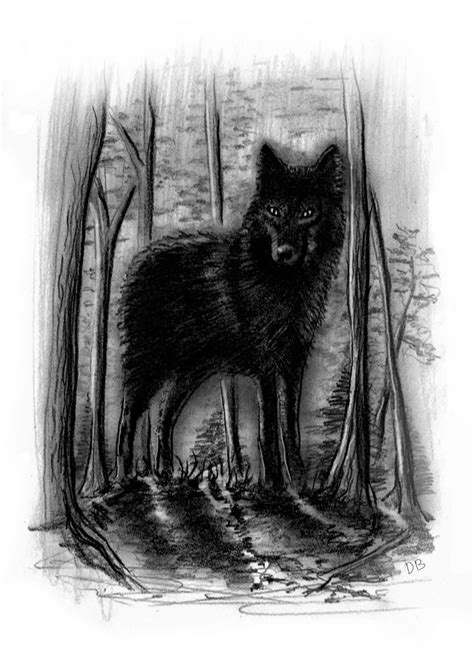 Black Wolf Drawing Easy