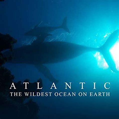 The 30 Best Underwater & Deep Sea Documentaries, Ranked By Fans