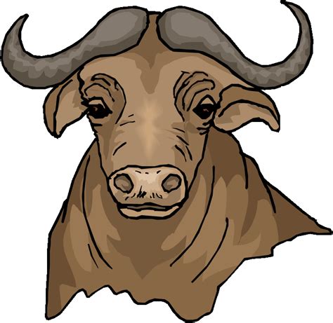 water buffalo clipart - Clip Art Library