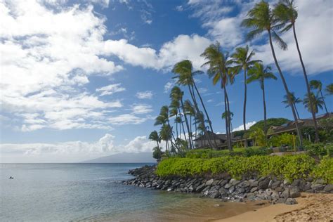 Napili Bay Snorkeling Guide - Maui Hideaway